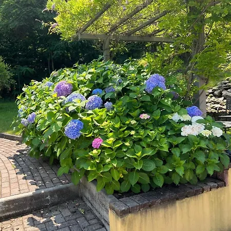 Salici, Pool & Garden *